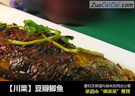 【川菜】豆瓣鲫鱼