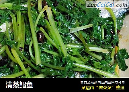 清蒸鲳鱼