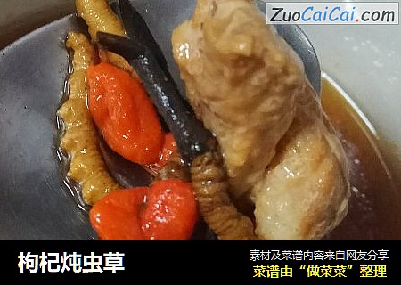 枸杞炖虫草