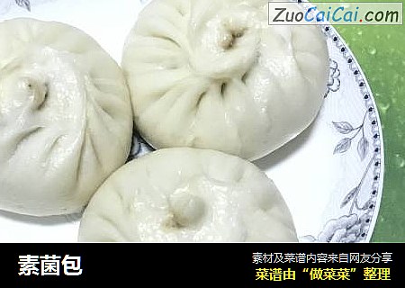 素菌包
