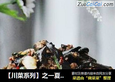 【川菜系列】之一夏天清爽解馋的少油版肉沫茄子