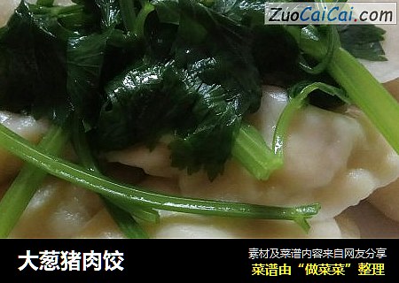 大葱猪肉饺