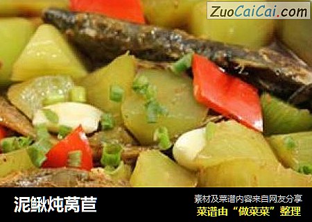 泥鳅炖莴苣