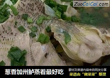 葱香加州鲈蒸着最好吃