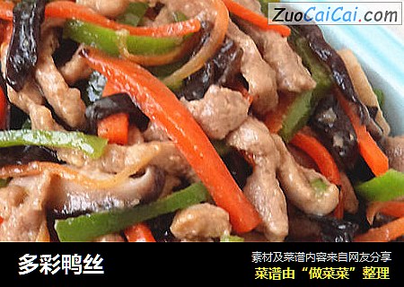 多彩鸭丝