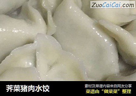 荠菜猪肉水饺
