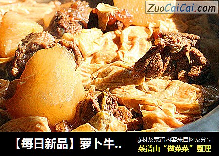 【每日新品】萝卜牛腩煲