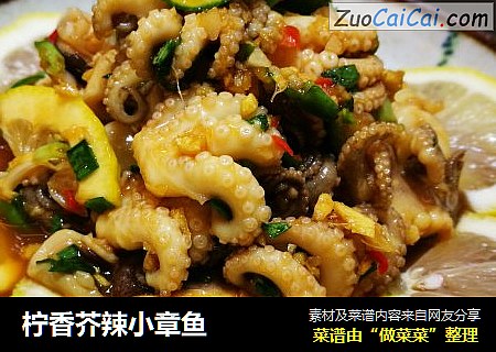 柠香芥辣小章鱼
