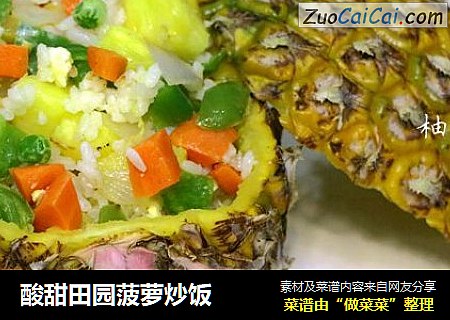 酸甜田园菠萝炒饭