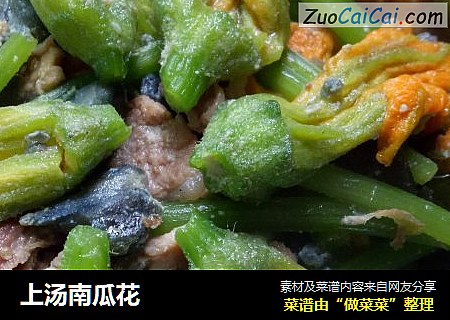 上汤南瓜花