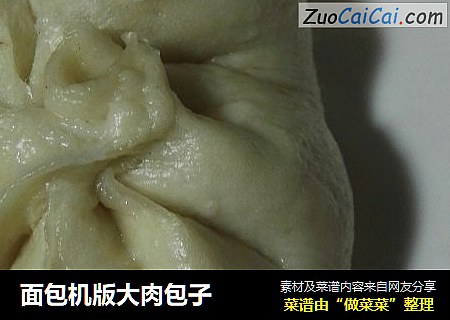 面包机版大肉包子