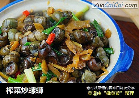 榨菜炒螺蛳