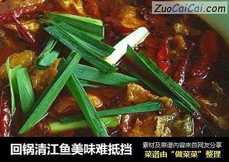 回锅清江鱼美味难抵挡