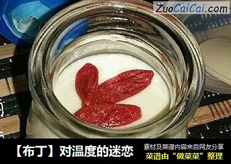 【布丁】对温度的迷恋