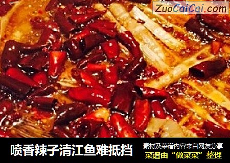 喷香辣子清江鱼难抵挡