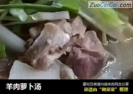 羊肉萝卜汤