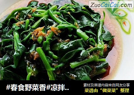 #春食野菜香#凉拌田七叶