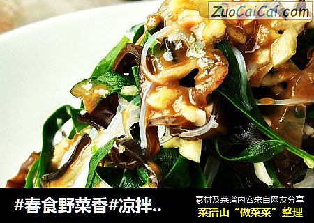凉拌山马扎