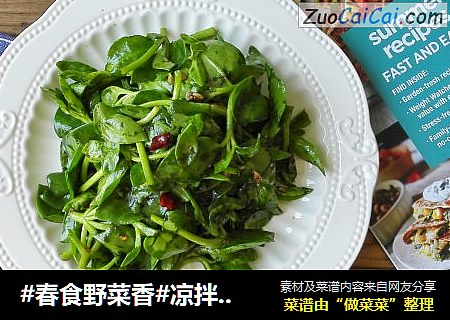 #春食野菜香#凉拌穿心莲-能吃的观赏绿植
