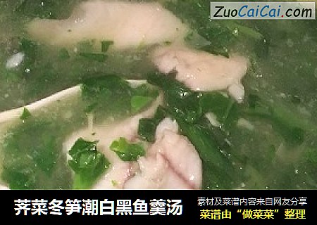 荠菜冬笋潮白黑鱼羹汤