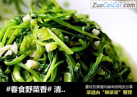 #春食野菜香# 清炒蒜蓉鸡毛菜