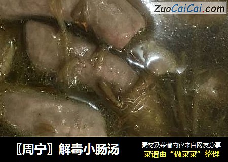 〖周宁〗解毒小肠汤