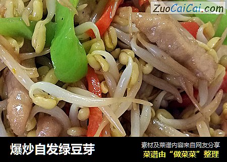 爆炒自发绿豆芽