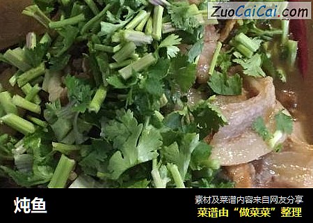 炖鱼