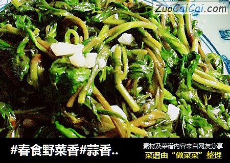 #春食野菜香#蒜香枸杞芽