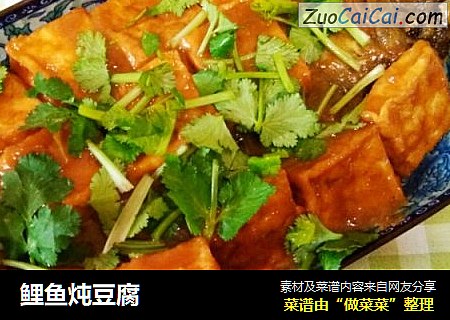 鲤鱼炖豆腐