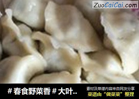 ＃春食野菜香＃大叶芹饺子