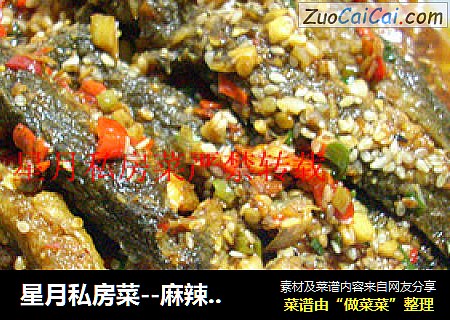星月私房菜--麻辣干煸回锅泥鳅