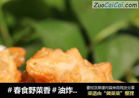 ＃春食野菜香＃油炸荠菜馄饨