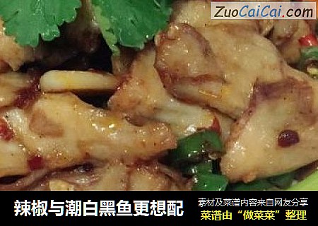 辣椒与潮白黑鱼更想配