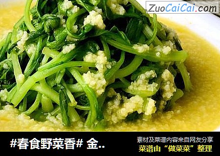 #春食野菜香# 金汤小米鸡毛菜