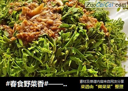 #春食野菜香#——凉拌柳芽