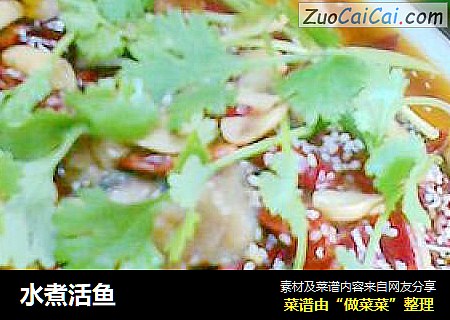水煮活鱼