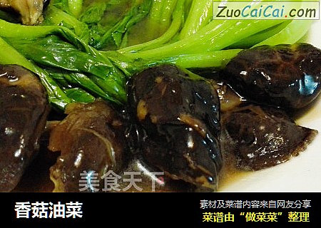 香菇油菜