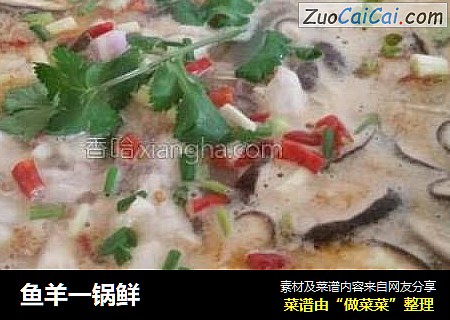 鱼羊一锅鲜