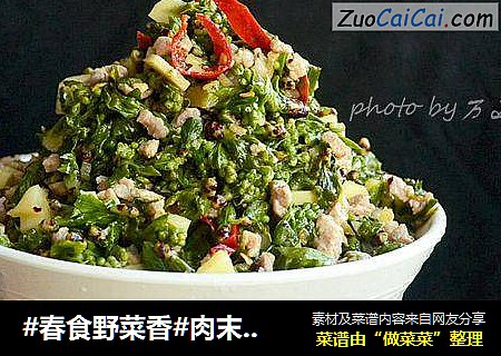 #春食野菜香#肉末炒珍珠花