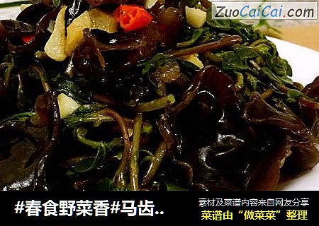 #春食野菜香#马齿苋凉拌木耳