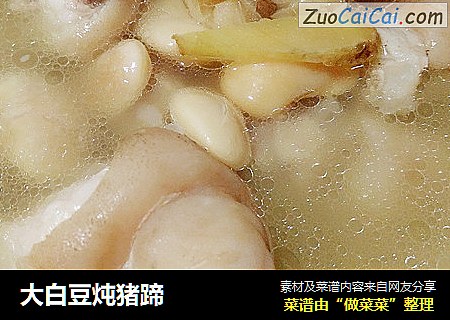 大白豆炖猪蹄