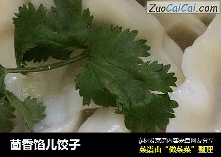 茴香馅儿饺子