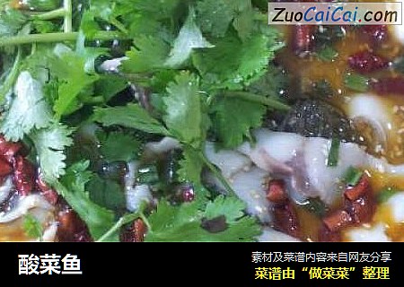 酸菜鱼