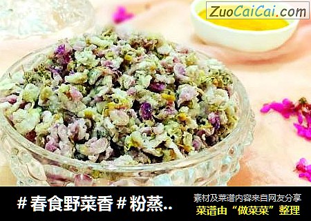 粉蒸紫荆花