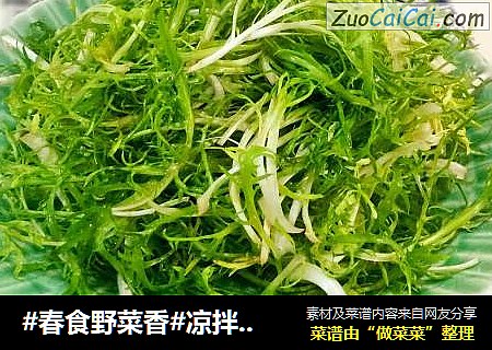 #春食野菜香#凉拌苦菊