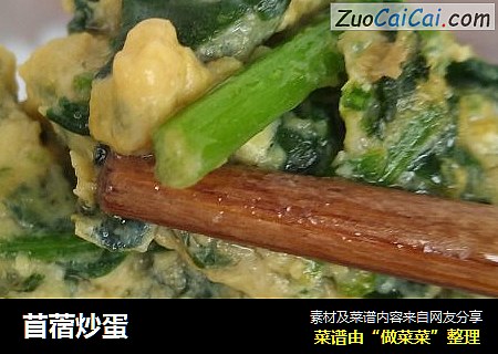 苜蓿炒蛋