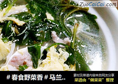 ＃春食野菜香＃马兰头鸡蛋肉丝汤