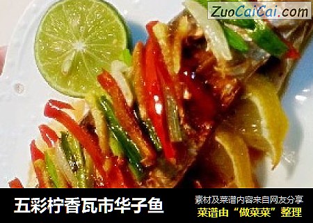 五彩柠香瓦市华子鱼