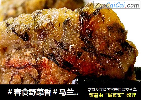 ＃春食野菜香＃马兰头粑粑